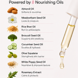 Night Face Oil - Fragrance Free