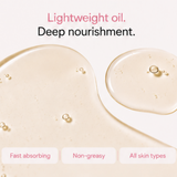Night Face Oil - Fragrance Free